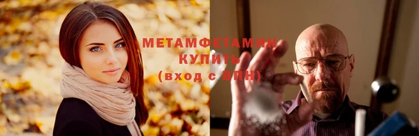 прущие грибы Беломорск