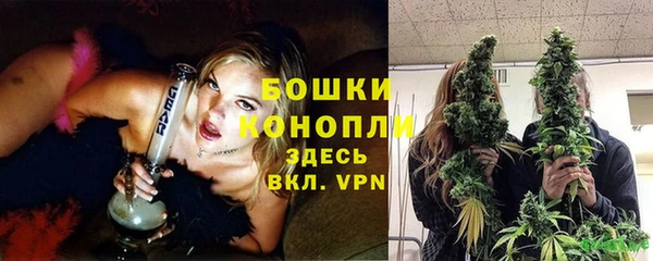 прущие грибы Беломорск