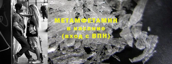 прущие грибы Беломорск