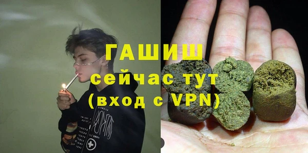 прущие грибы Беломорск