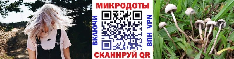 продажа наркотиков  Котово  Псилоцибиновые грибы мицелий 